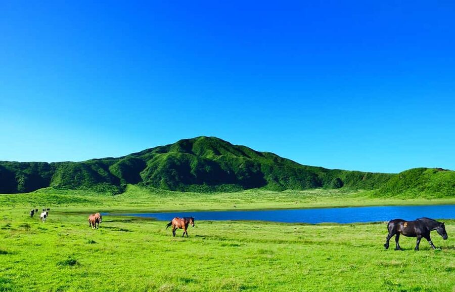 From Fukuoka: Mount Aso, Kurokawa Onsen, and Shrine Tour - Price and Value: What You Get for Around $50