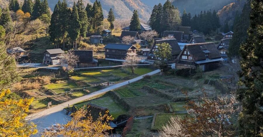 From Kanazawa: Shirakawa-go, Gokayama and Wood Carving Art - Key takeaways