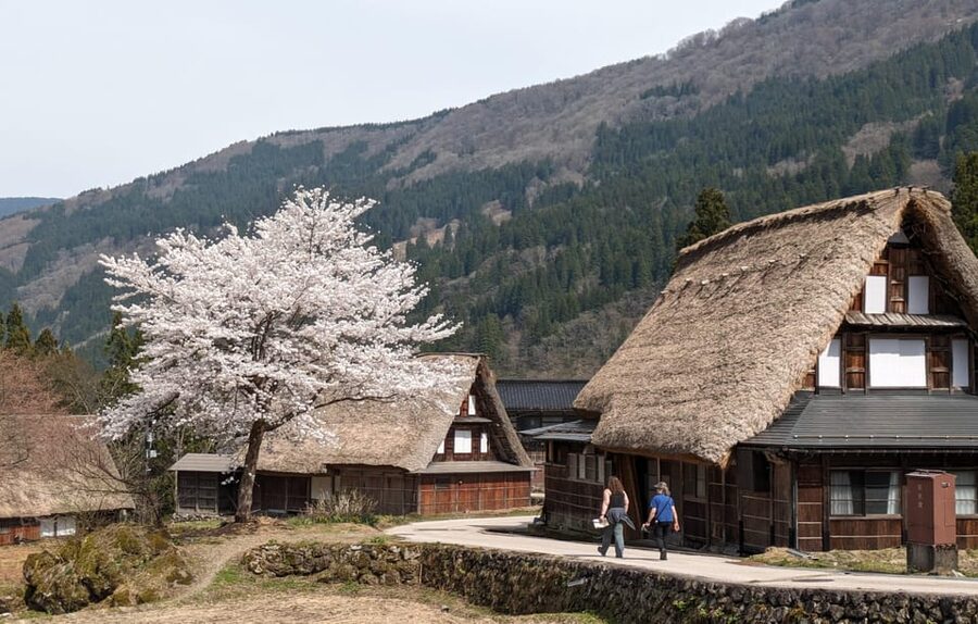 From Kanazawa: Shirakawa-go, Gokayama and Wood Carving Art - Price and Logistics: Is $180 Worth It for This Kind of Day?