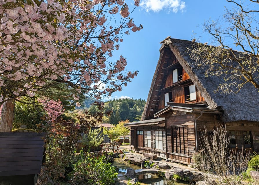 From Kanazawa: Shirakawa-go, Gokayama and Wood Carving Art - Who Should Book This Tour, and Who Might Skip It