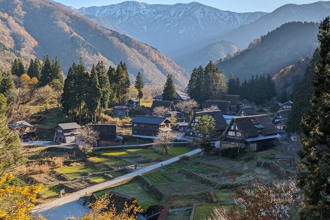 From Kanazawa: Shirakawa-go, Gokayama and Wood Carving Village - Inami Wood Carving Village and Zuisenji Temple: The Morning That Sets the Tone