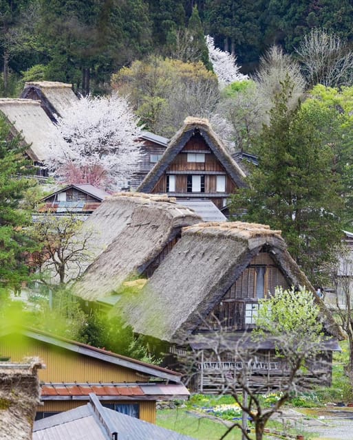From Kanazawa/Toyama: Shirakawago and Takayama Day Tour - A private day through Japan’s mountain villages, without bus chaos
