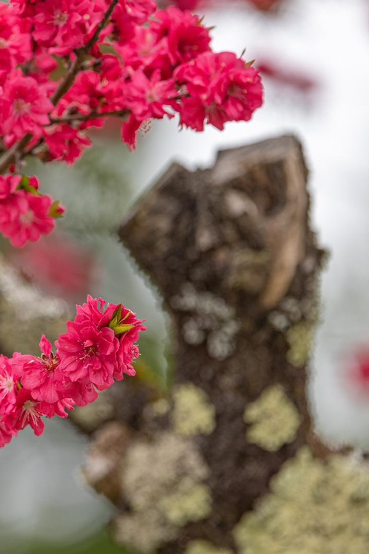 From Kanazawa/Toyama: Shirakawago and Takayama Day Tour - Price and value: $580 per group up to 3, and when it makes sense