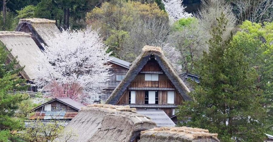 From Kanazawa/Toyama: Shirakawago and Takayama Day Tour - Timing tips that help you get better photos and less stress
