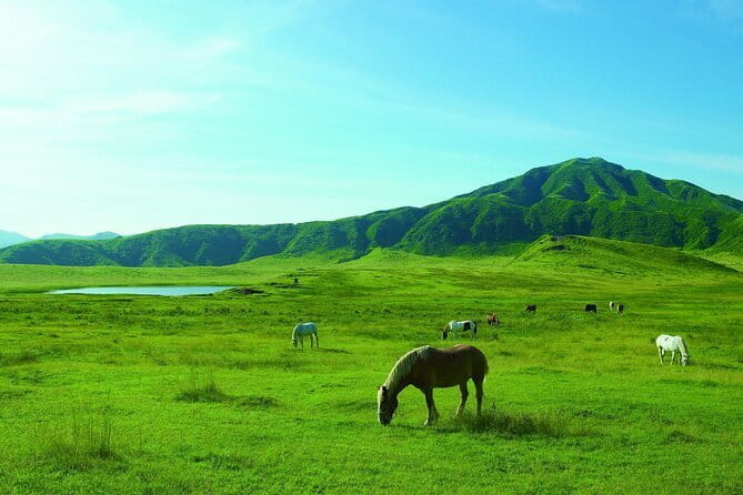 From Kumamoto : Mt.Aso and Takachiho All-inclusive Private Tour - Stop 1 Mt. Aso Nakadake Crater and the Aso Volcano Museum