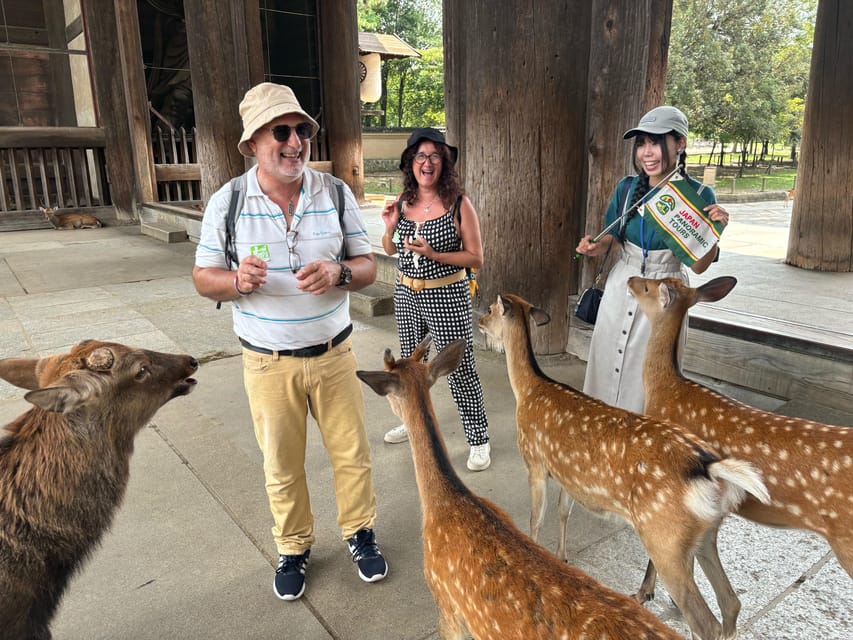 From Kyoto: Nara Guided Morning Tour - Key things I’d prioritize