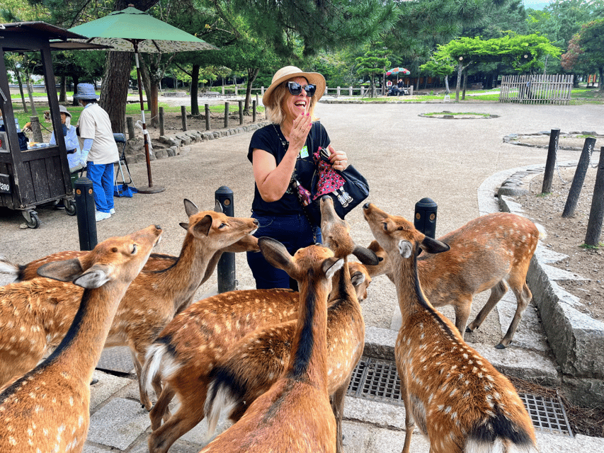 From Kyoto: Nara Guided Morning Tour - Nara Park deer time: cute, sacred, and very snack-aware