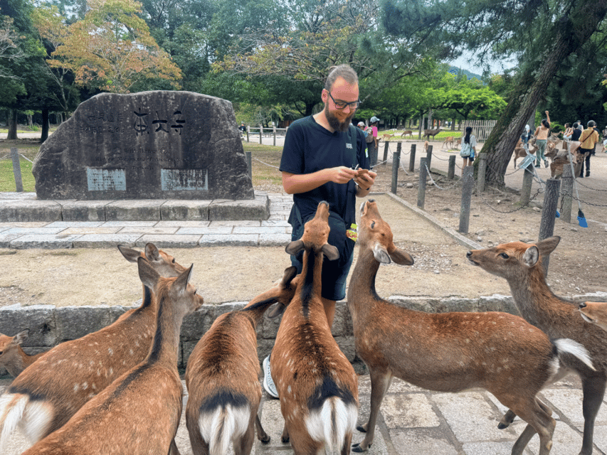 From Kyoto: Nara Guided Morning Tour - The walking reality: stairs, hills, and smart packing