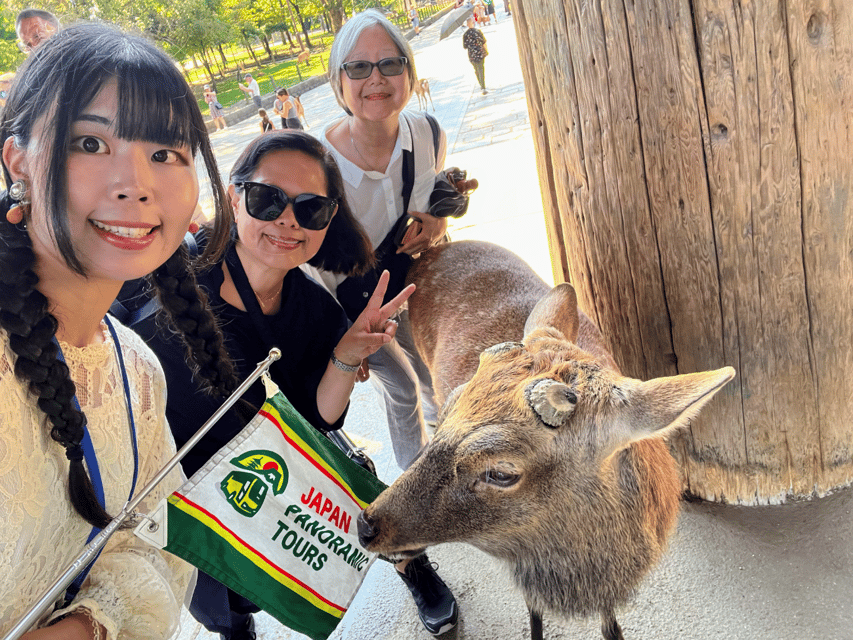 From Kyoto: Nara Guided Morning Tour - FAQ