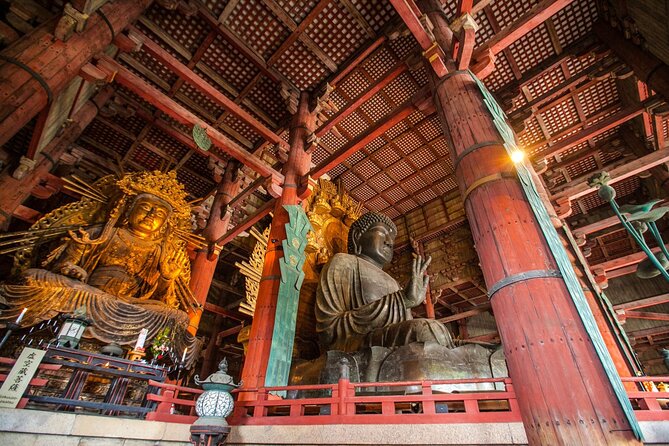 From Kyoto: Nara History Guided Half Day Bus Tour with Lunch - The Easy Start at Kyoto Station, and Why the Meeting Point Matters