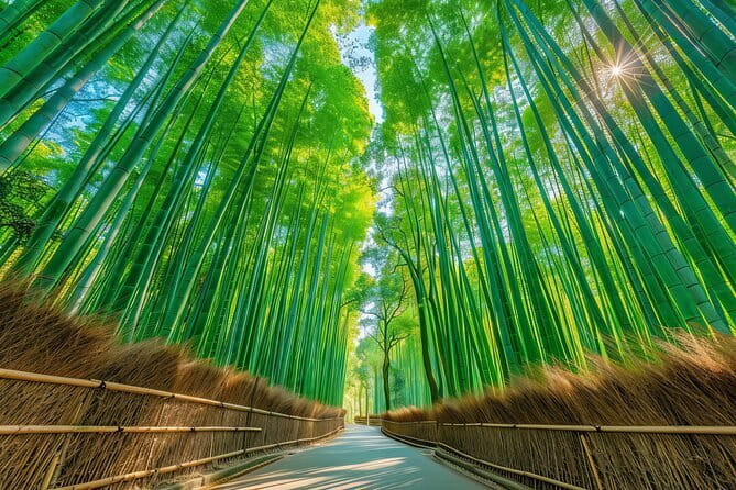 From Kyoto / Osaka: Kyoto Must-see Spots & Nara Park One Day Tour - Key things that make this tour worth your time