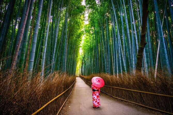 From Kyoto / Osaka: Kyoto Must-see Spots & Nara Park One Day Tour - How the day strings together Kyoto and Nara (without killing your energy)