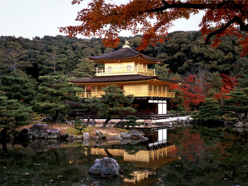 From Kyoto/Osaka: Kyoto Top Highlights 1-Day Guided Bus Tour - Price of $51: what you actually get and where the value comes from