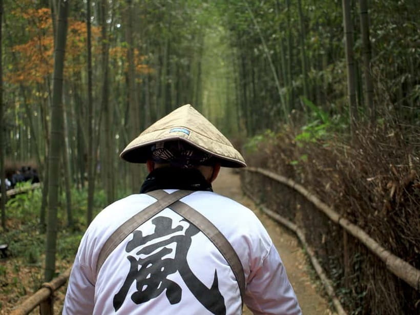 From Kyoto/Osaka: Kyoto Top Highlights 1-Day Guided Bus Tour - One-day Kyoto planning, without the stress of figuring it out
