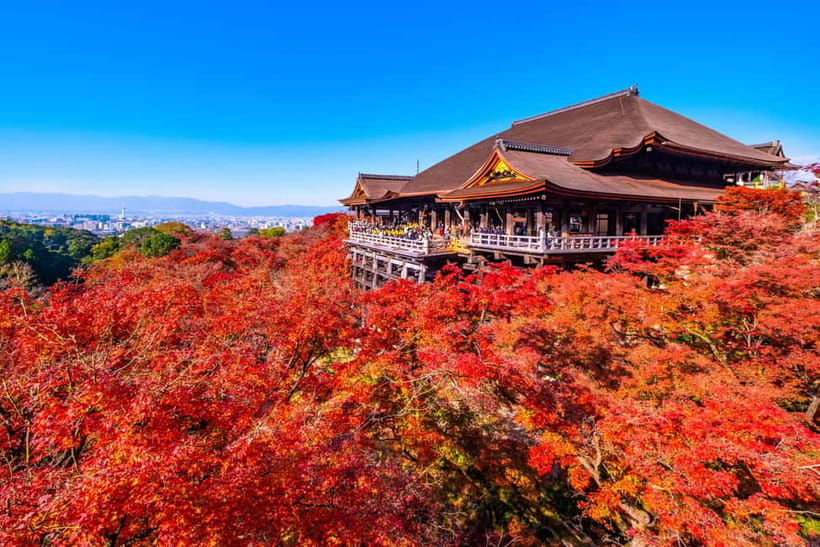 From Kyoto/Osaka: Kyoto Top Highlights 1-Day Guided Bus Tour - Kinkaku-ji Golden Pavilion: fast time, strong visual reward