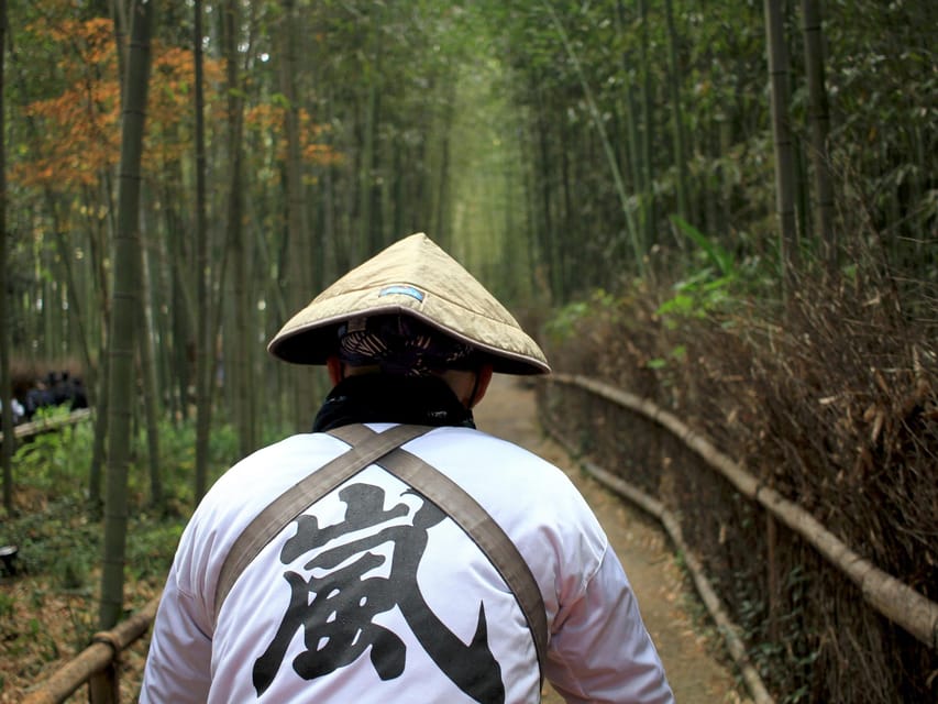 From Kyoto/Osaka: Kyoto Top Highlights 1-Day Guided Bus Tour - The coach ride: air-conditioning, Wi-Fi, and why the guide keeps the day efficient
