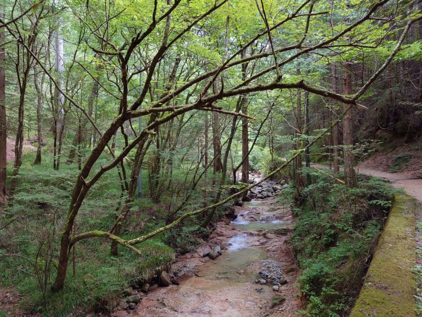From Matsumoto/Nagano: Nakasendo Trail Walking Tour - Who this tour fits best, and who should skip it