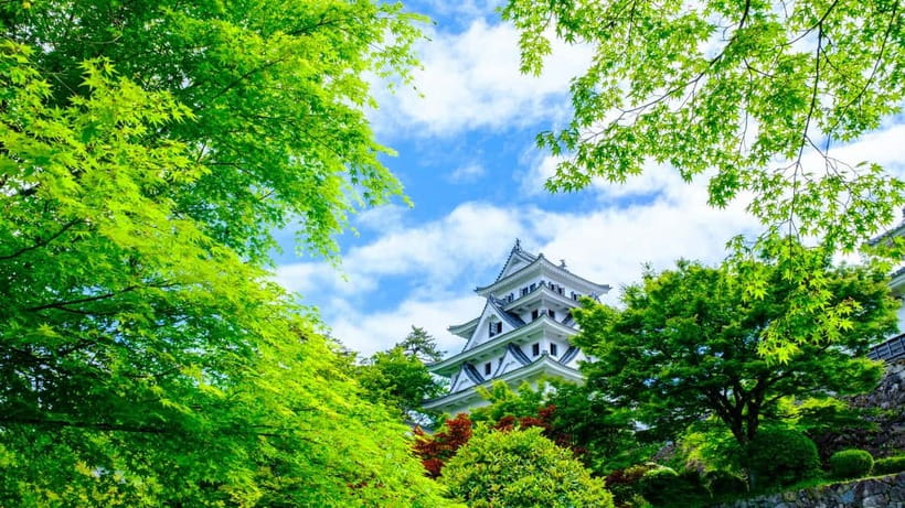 From Nagoya: Gujo, Hida Takayama, and Shirakawa-go Day Tour - Should you book this Nagoya day trip?