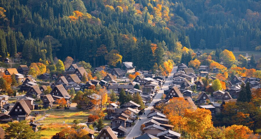 From Nagoya: Hida Takayama & Shirakawa-go Tour w/Opt. Lunch - Winter road closures, and the Gujo Hachiman backup plan