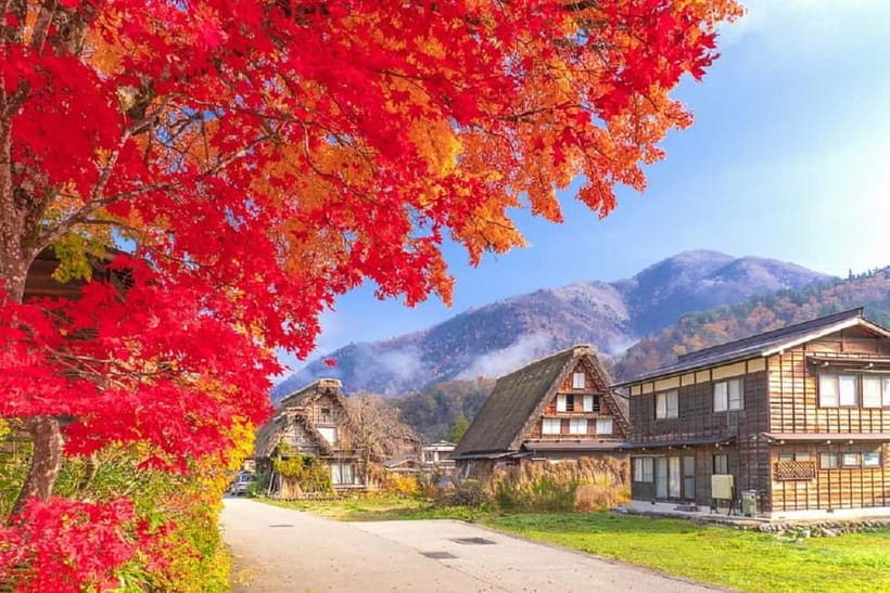 From Nagoya: Shirakawa-go & Hida-Takayama Full Day Trip - Key things I’d plan around