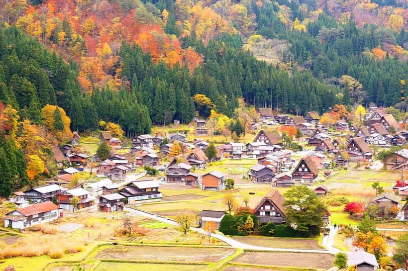 From Nagoya: Shirakawa-go & Hida-Takayama Full Day Trip - Ochudo Café: The Fun Stop That Adds Heat and Character
