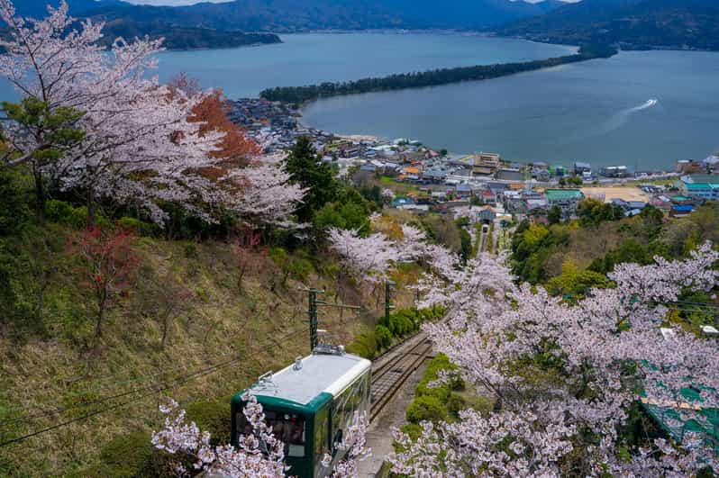 From Osaka: Amanohashidate and Ine Bay Day Trip - Quick highlights you’ll actually use