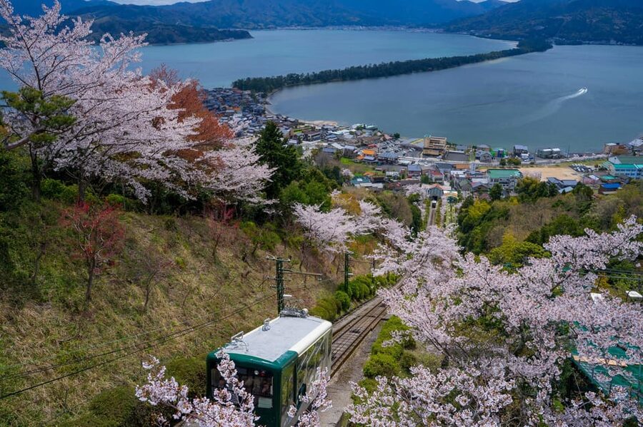 From Osaka: Amanohashidate and Ine Bay Day Trip - Ine Bay Sightseeing Boat: birds, calm water, and how to handle the fun