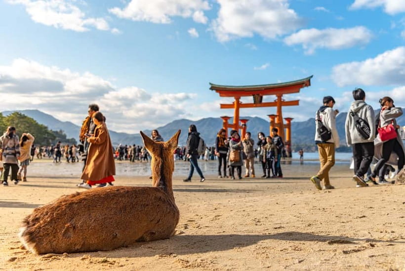 From Osaka: Hiroshima and Miyajima Day Trip by Bullet Train - From Osaka: how the Shinkansen day tour actually feels