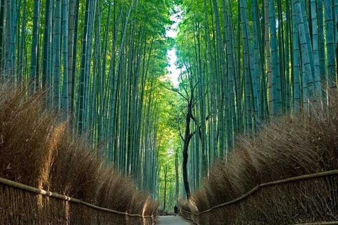 From Osaka/Kyoto: Kyoto & Nara Day Trip with Optional Lunch - Key Things I’d Pay Attention To