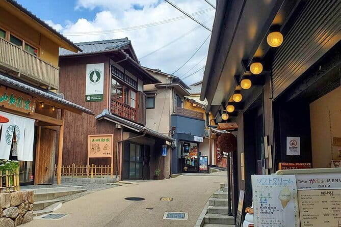From Osaka/Kyoto: Kyoto & Nara Day Trip with Optional Lunch - Kyoto Wasabi Lunch: A Break That Keeps the Day From Melting