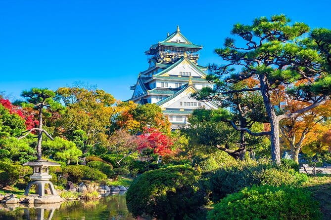 From Osaka/Kyoto: Kyoto & Nara Day Trip with Optional Lunch - Guides and Group Dynamics: Why It Makes or Breaks the Day