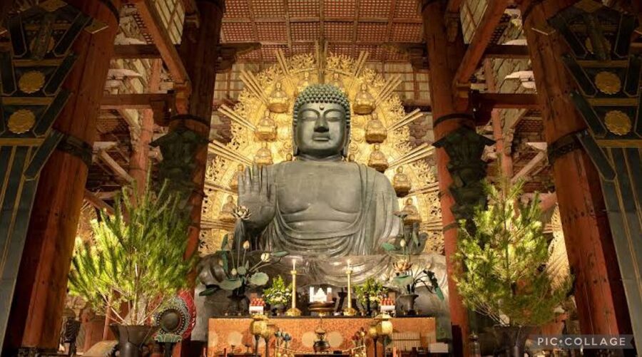 From Osaka/Kyoto: Private Kyoto & Nara Day Trip with Pickup - How the English-speaking host guides without taking over