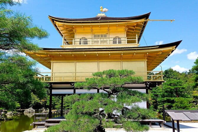 From Osaka or Kyoto: Kyoto and Nara 1-Day Bus Tour - Key Highlights You’ll Actually Feel in Your Day