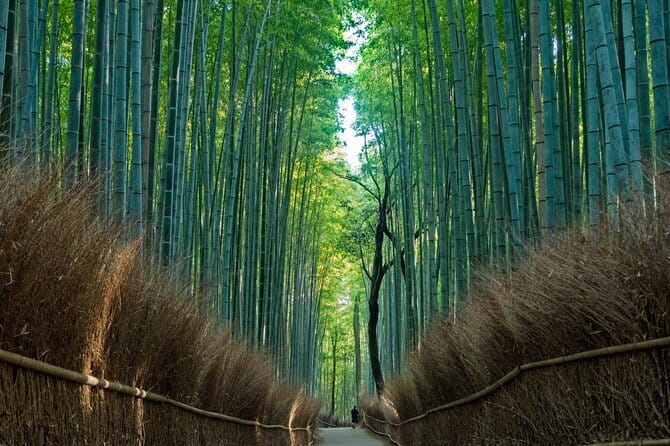 From Osaka or Kyoto: Kyoto and Nara 1-Day Bus Tour - Getting on the Bus in Osaka or Kyoto: Why This Is Such a Time Saver
