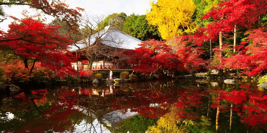 From Osaka: Private Customized Day Tour to Kyoto - How the Timing Actually Works in a 10-Hour Day