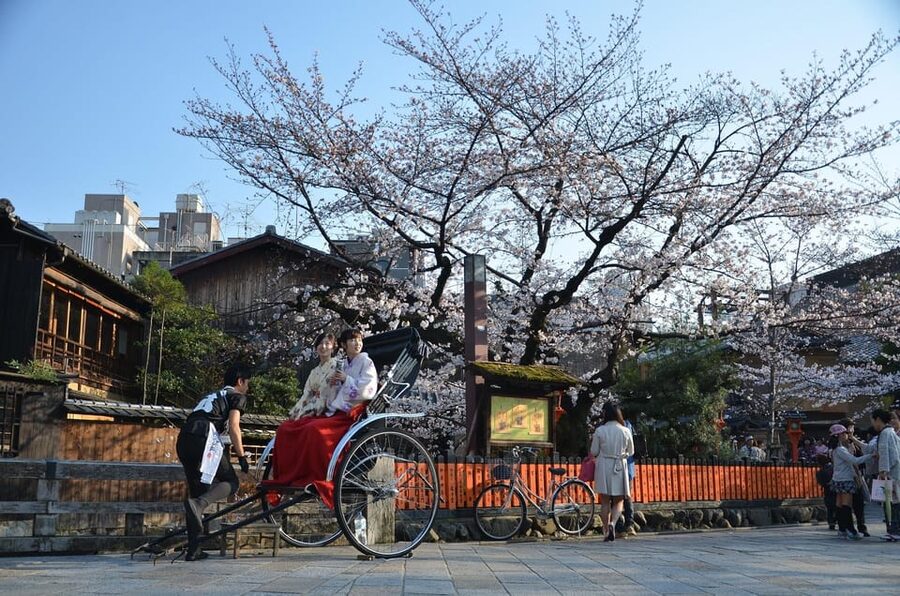 From Osaka: Private Customized Day Tour to Kyoto - Gion in 45 Minutes: Spotting the Real Streets