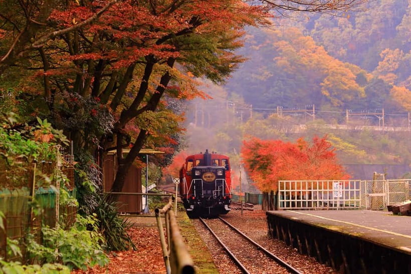 From Osaka: Sagano Train Ride and Kyoto Guided Day Tour - Key Highlights You Will Actually Feel