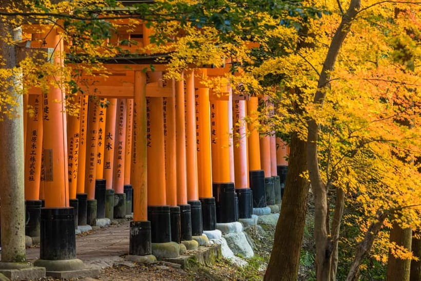 From Osaka: Sagano Train Ride and Kyoto Guided Day Tour - The Sagano Romantic Train Ride: 25 Minutes of River and Mountain Views