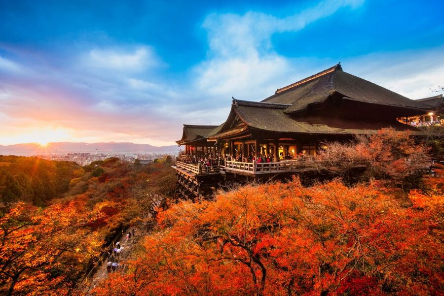 From Osaka: Sagano Train Ride and Kyoto Guided Day Tour - Fushimi Inari Shrine: Vermillion Torii Gates and Fox Statues