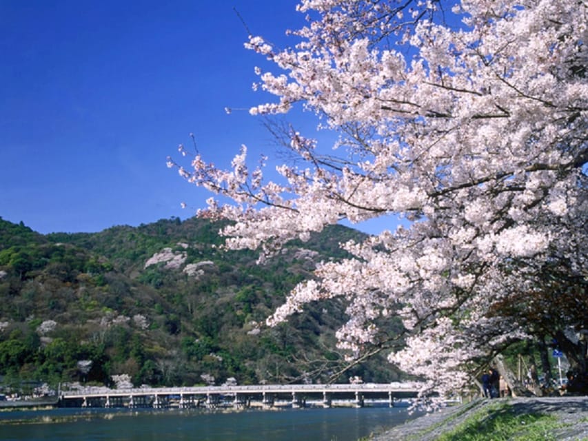 From Osaka: Sagano Train Ride and Kyoto Guided Day Tour - Arashiyama Start: Katsura River, Togetsukyo, and the Bamboo Forest Quiet