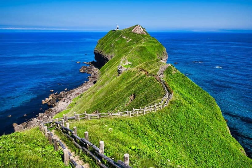From Sapporo: Hokkaido Highlights Day Trip - What Makes This Trip Feel Different Each Day