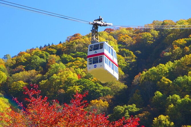 From Takayama: Alpine Splendor - Shinhotaka Ropeway and Kamikochi - What you’re really paying for in the $235.86 price