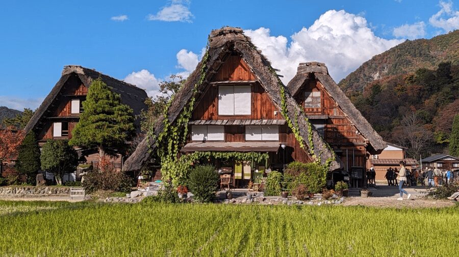 From Takayama: Guided Day Trip to Takayama and Shirakawa-go - Key highlights to look for