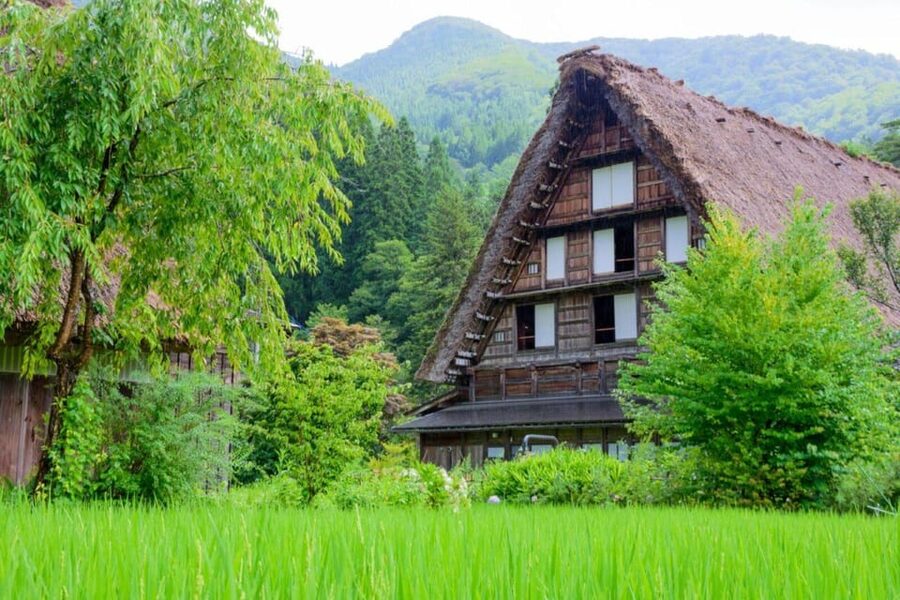 From Takayama: Guided Day Trip to Takayama and Shirakawa-go - Takayama’s Sanmachi lanes and the Miyagawa Morning Market break
