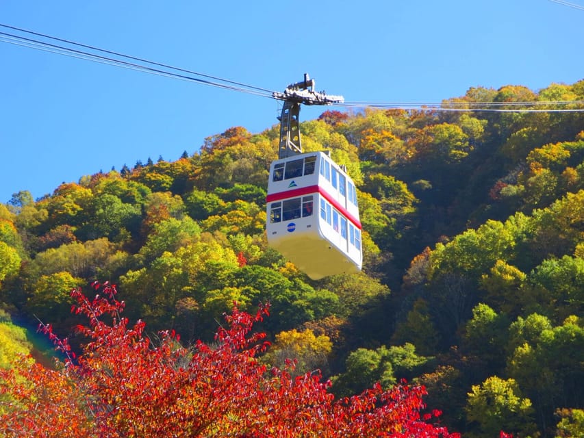 From Takayama: Shinhotaka Ropeway and Kamikochi tour - Key Highlights You’ll Care About
