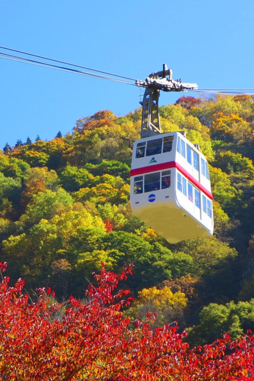 From Takayama: Shinhotaka Ropeway and Kamikochi tour - Kamikochi by the Azusa River: Taisho Pond to Kappa Bridge