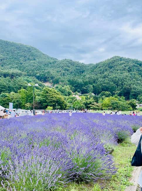 From Tokyo: Full-Day Mount Fuji Tour in English or Spanish - Honcho Street in Fujiyoshida: the classic town walk that frames Fuji