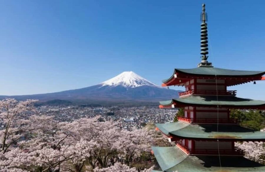 From Tokyo: Full-Day Mount Fuji Tour in English or Spanish - Should you book this Mount Fuji tour from Tokyo?