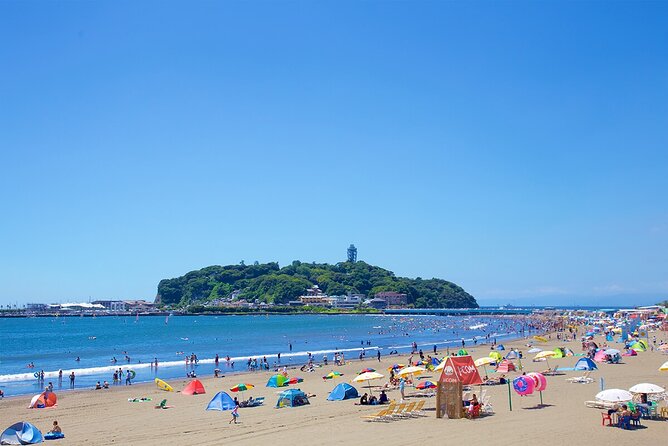 From Tokyo: Kamakura & Enoshima 1-Day Bus Tour - Pacing, comfort, and the parts you can control