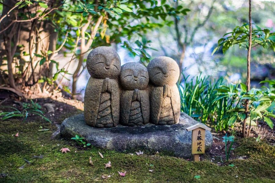 From Tokyo: Kamakura Full Day Tour with a Local Expert Guide - Key things to plan for